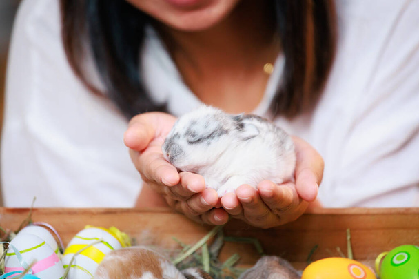 Азійка тримає крихітного кроленя в руках з ніжністю і любов'ю. Люди доглядають за домашньою тваринкою і прикрашають дім на Великдень. Щасливого Великодня. - Фото, зображення