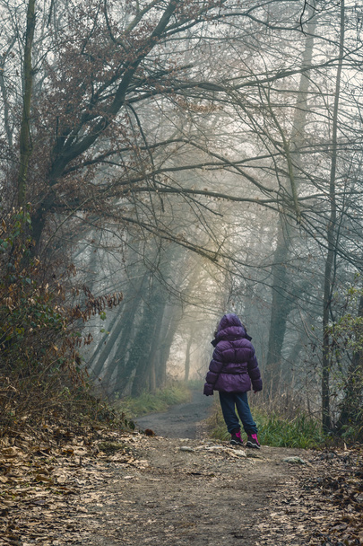 Niño perdido en el bosque
 - Foto, Imagen