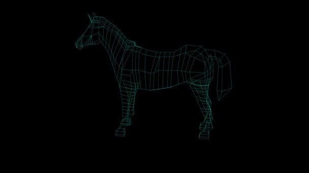 wireframe χαμηλό πολυ μοντέλο Zebra animation σε μαύρο φόντο οθόνης - Πλάνα, βίντεο