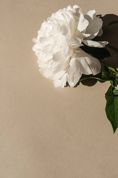 Aesthetic Luxury Bohemian Flowers Composition Elegant Gentle Peach