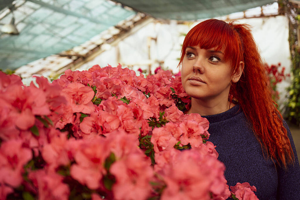 fiatal vörös hajú lány egy üvegházban azálea virágokkal. Kiváló minőségű fénykép - Fotó, kép