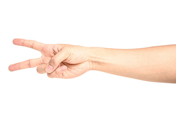 手を閉じると、クリッピングパスを持つ白い背景に2番目の指が分離表示されます。ポートフォリオの数が多いほど. - 写真・画像