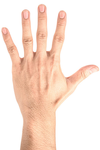 De cerca la mano muestra el dedo número cinco aislado sobre fondo blanco con la ruta de recorte. Más números en mi cartera. - Foto, imagen