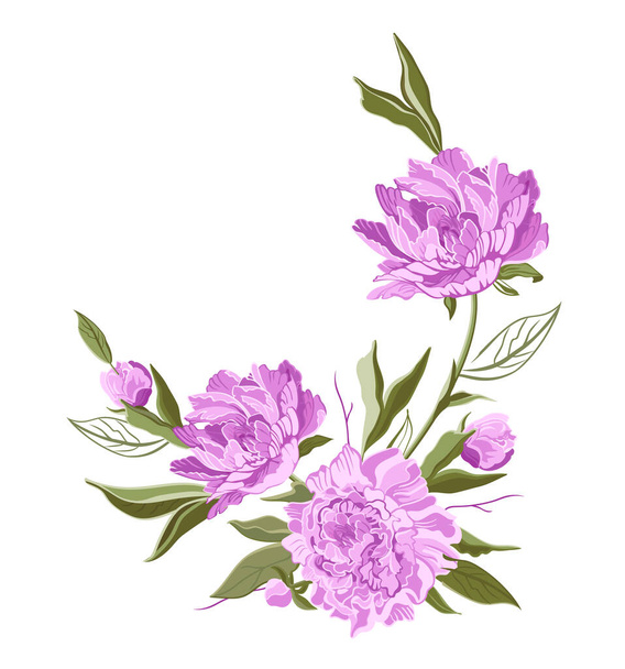 Bouquets of pink peonies on a white background. Flowers and leaves, can be used as greeting card, invitation card for wedding, birthday and other holiday and summer background. - Φωτογραφία, εικόνα