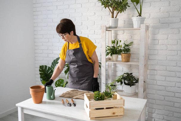 Middle aged woman gardener transplanting plant in ceramic pots on the white wooden table. Concept of home garden. Spring time. Stylish interior with a lot of plants. Taking care of home plants. - Foto, afbeelding