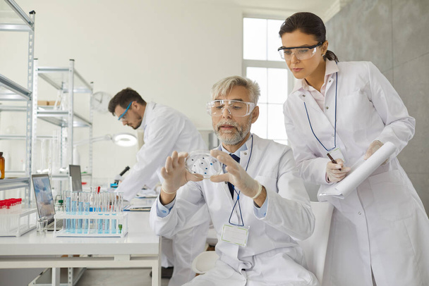 Two male and female scientists analyze samples working with chemicals in a laboratory. - 写真・画像