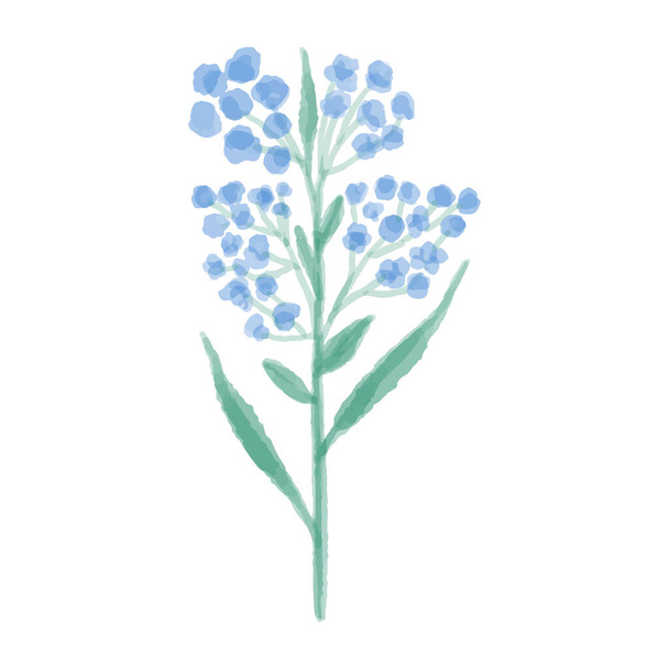 Hand drawn illustration of a blue wild flower. Lupine painted in watercolor. Vector illustration. - Vector, imagen