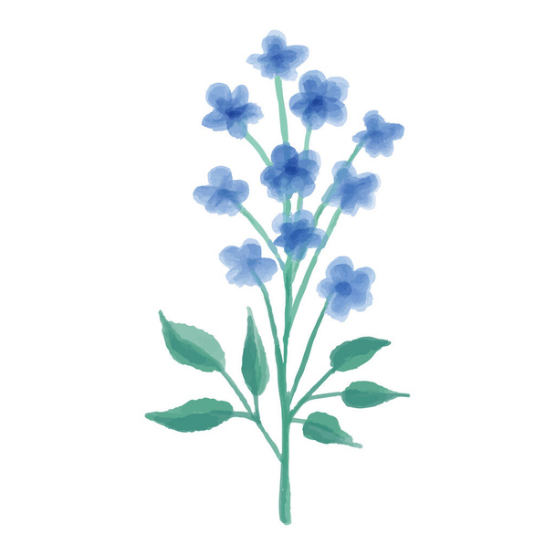 Hand drawn illustration of a blue wild flower. Forget-me-not painted in watercolor. Vector illustration. - ベクター画像