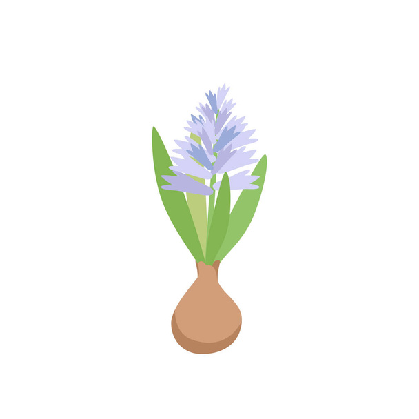 Elegancki kwiatowy hiacynt. Botaniczny element kwiatowy. Wektor ilustracja w płaskim stylu izolowane na białym tle - Wektor, obraz