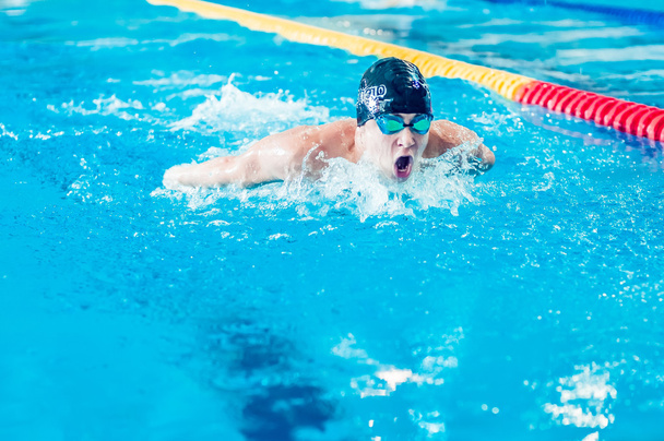 ペルミ地方選手権水泳 - 写真・画像