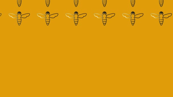 animación del icono de la abeja negra en amarillo - Imágenes, Vídeo