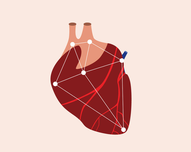 人間の心。解剖学的平面ベクトルストックイラストレーター。近代的な技術で臓器のスキャン。隔離された冠状動脈と血管 - ベクター画像