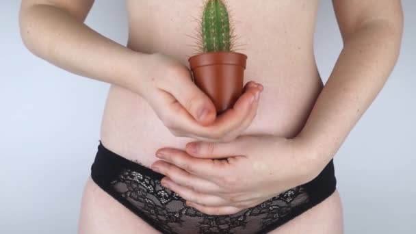 Nahaufnahme einer Frauenleiche. Ein Kaktus vor dem Hintergrund innerer Organe symbolisiert weibliche Schmerzen. Gebärmutter, Gebärmutter und Eierstöcke. Konzeptfoto über weibliche Intimität.  - Filmmaterial, Video