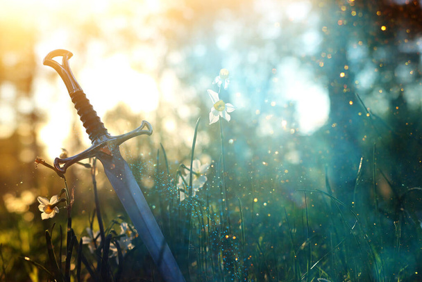 mysterious and magical photo of silver sword in the England woods and light flare. Medieval period concept - Foto, Imagen