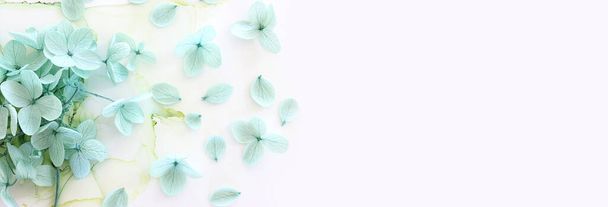 Creative image of pastel mint green Hydrangea flowers on artistic ink background. Top view with copy space - Foto, immagini