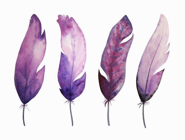 Plumas de acuarela púrpura y magenta. Las plumas de las aves están dibujadas a mano y aisladas sobre un fondo blanco.  - Foto, imagen