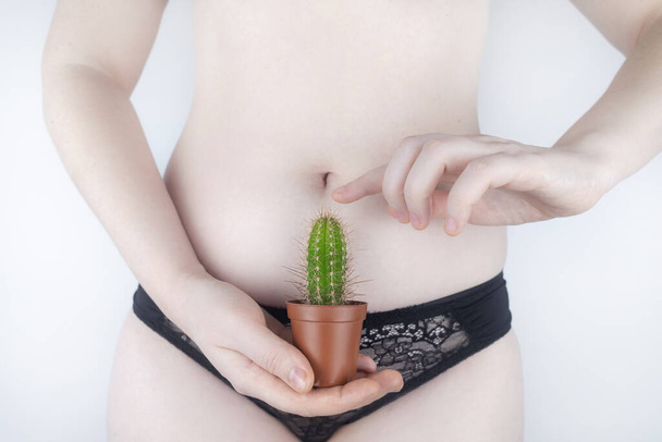 Close-up of a woman body. A cactus against the background of internal organs symbolizes female pains. Uterus, womb and ovaries. Concept photo about feminine intimate health. - 写真・画像