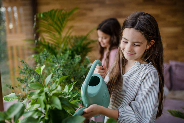 Happy little sisters watering plants indoors in conservatory. - Photo, Image