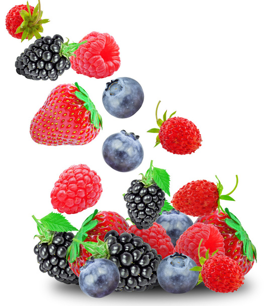 Berries - Zdjęcie, obraz