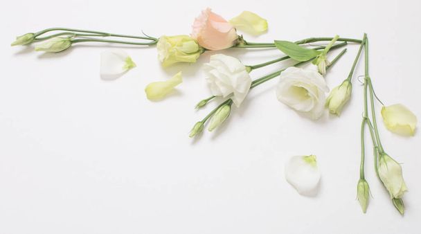 spring beautiful flowers on white background - Фото, изображение