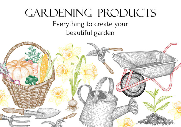 Πρότυπο vector banner για κηπουρική. Γραφικό γραμμικό ποτιστήρι, τσουγκράνα κήπου και φτυάρι, βλαστός στο έδαφος, σπορόφυτα λουλουδιών ασφόδελου, καλάθι με συγκομιδή, κλαδευτήρι, καρότσι κήπου - Διάνυσμα, εικόνα