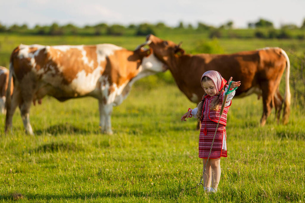 child tending cows - Fotografie, Obrázek