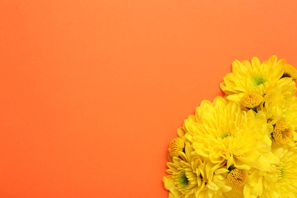 Schöne gelbe Chrysanthemenblüten auf orangefarbenem Hintergrund, Draufsicht. Raum für Text - Foto, Bild