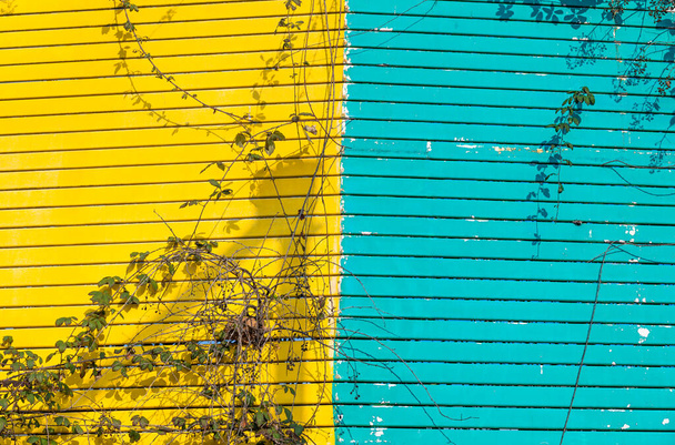 Fond bicolore de bandes horizontales métalliques peintes en jaune et azur - Photo, image