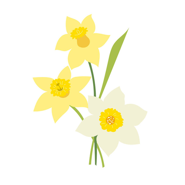 Beyaz arkaplanda yalıtılmış narsist çiçekler - Vektör, Görsel