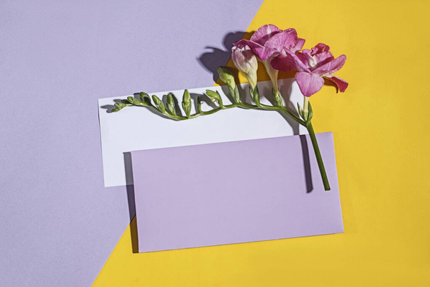 Modèle de carte d'invitation ou de voeux avec enveloppe très péri et fleur de freesia sur fond de couleur. Modèle de marque et de publicité - Photo, image