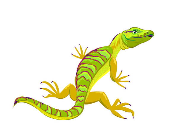 Illustration of cute little green goanna. Wildlife animals. Isolated drawing on white background. Print for fabric, fashion, decoration, embroidery, background, wallpaper. Flat cartoon vector. - Vektor, kép