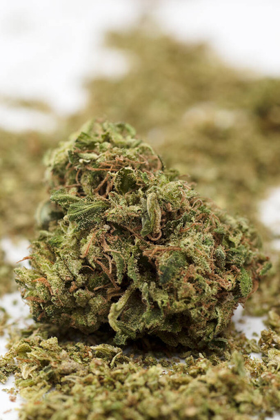 macro shot de brote de marihuana, fondo blanco. - Foto, Imagen