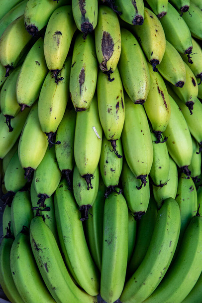 Bunches of unripe banana at outdoor market stall. Sao Paulo city, Brazil. - 写真・画像
