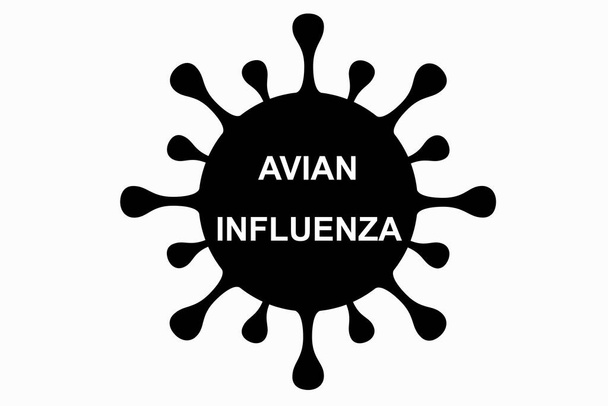 Γρίπη των πτηνών (H5N1). Εικόνα του ιού της γρίπης των πτηνών. H5N1 επιδημία γρίπης των πτηνών. Κινεζικός κίνδυνος πανδημίας. Ιοί από τα ζώα στους ανθρώπους. Οριζόντια σχεδίαση. - Φωτογραφία, εικόνα