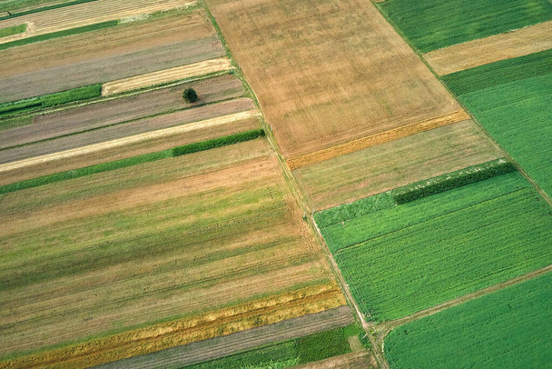 Widok z lotu ptaka na zielone i żółte pola uprawne z uprawami w pogodny letni dzień - Zdjęcie, obraz