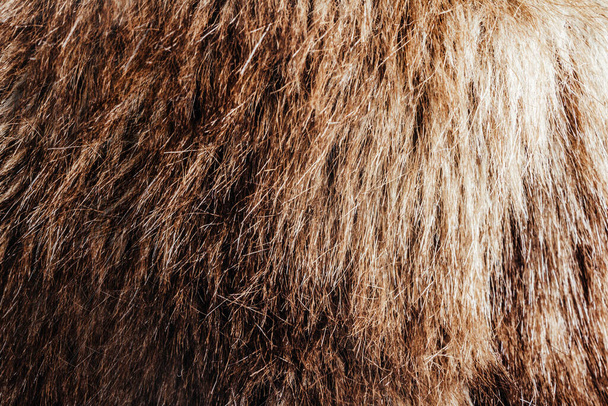 Фон крупным планом текстура фото коричневого цвета материала меха животного. - Фото, изображение