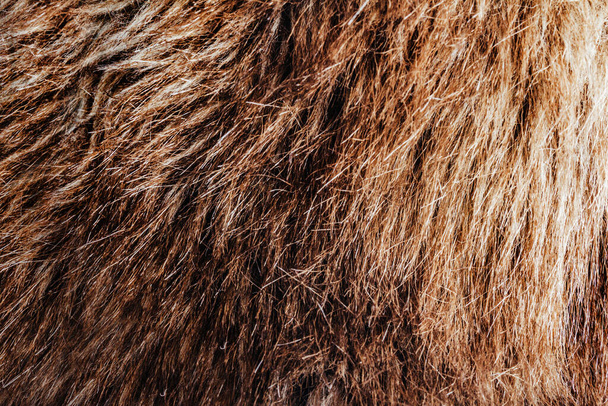 Tło zbliżenie zdjęcie tekstury brązowy kolorowy materiał futra zwierząt. - Zdjęcie, obraz