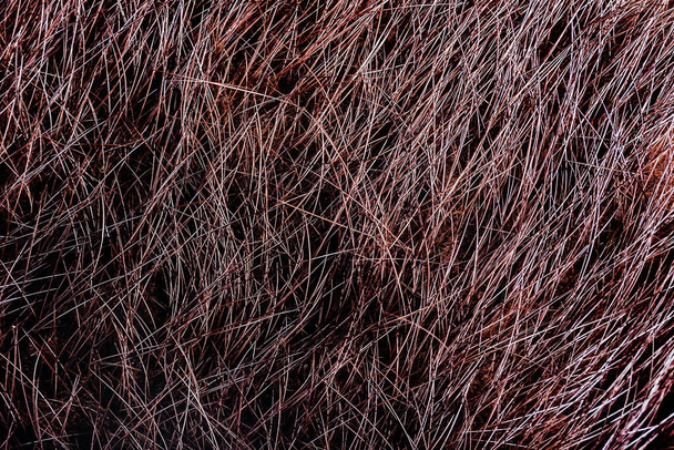 Backdrop close-up photo texture of brown colored animal fur and hair material. - Photo, Image