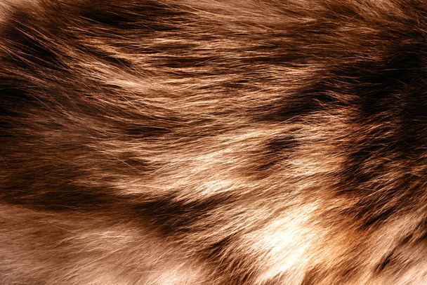 茶色の色の動物の毛皮と髪の材料のバックアップのクローズアップ写真のテクスチャ. - 写真・画像