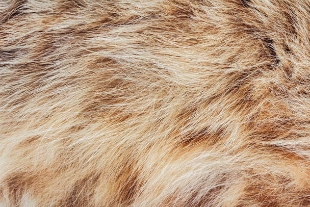 Backdrop close-up fotografie textura hnědé a červené barvy zvířecí kožešiny a vlasového materiálu. - Fotografie, Obrázek