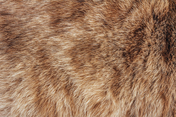 Achtergrond close-up foto textuur van bruin en rood gekleurd dierenbont en haar materiaal. - Foto, afbeelding