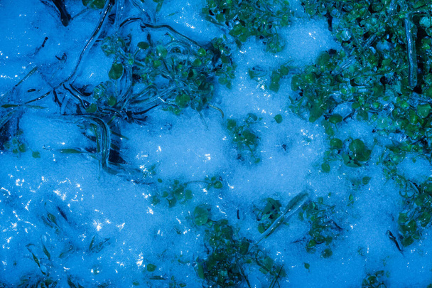 Foto de neve congelada tonificada azul com grama coberta de textura de superfície de gelo, vista superior. - Foto, Imagem