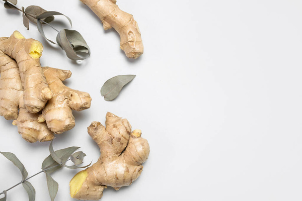 Fresh ginger root, eucalyptus branches on gray background top view flat lay. Spice for cooking, herbal tea with ginger to boost immunity. Natural organic ginger for health, medicine, protection colds. - Foto, immagini