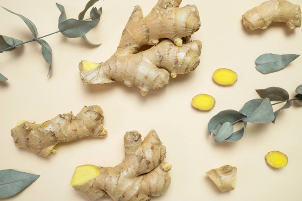 Fresh ginger root, eucalyptus branches on beige background top view flat lay. Spice for cooking, herbal tea with ginger to boost immunity. Natural organic ginger for health medicine protection colds. - 写真・画像