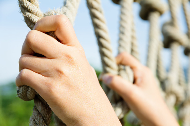 Close up to the climbing ropes - Photo, Image