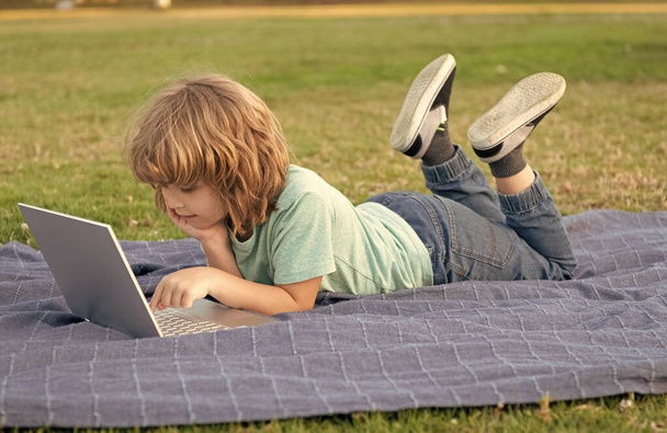 little kid use modern wireless laptop on park grass, study online - Photo, Image