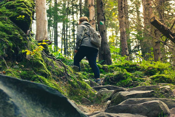 Пішохідна жінка з рюкзаком, що піднімається по звивистій стежці, камінням у зеленому лісі. Подорожі, піші прогулянки, відпочинок, спорт, туризм у сонячну осінь, весняний день. Жінка-мандрівник на лісовій стежці. Блукаючий
. - Фото, зображення