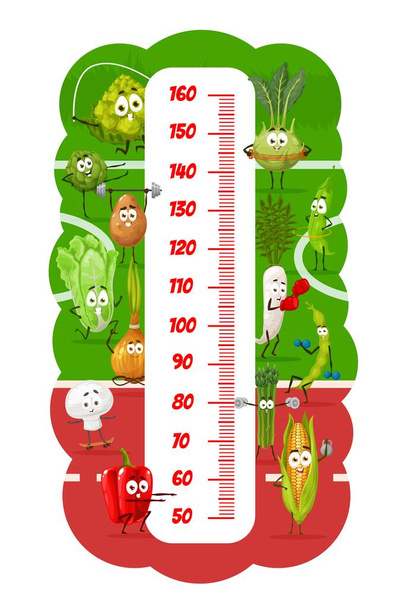 Tabla de altura de los niños con los atletas de verduras de dibujos animados en el estadio. Medidor de crecimiento con alcachofa, colinabo y patata, ensalada, cebolla y rábano daikon, espárragos, pimienta y maíz, champiñones en forma - Vector, imagen