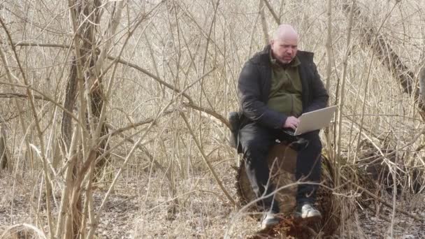 un hombre en el bosque sentado en un tocón grande trabaja en una computadora portátil. Concepto de trabajo remoto - Metraje, vídeo