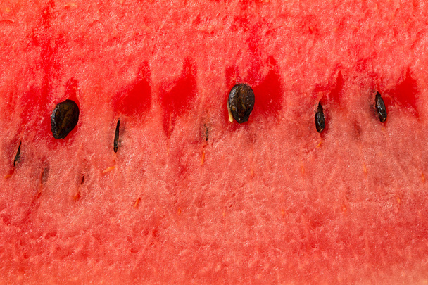 Watermelon - Foto, Imagem
